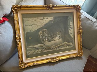Rare Signed Framed Ocelots Print by Don Rodell