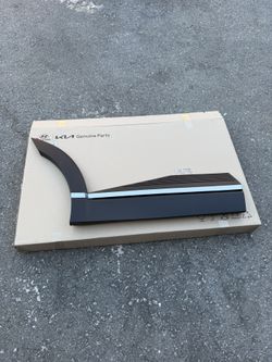 Rear Door Molding For Hyundai  Ioniq 5 Left Or Right 