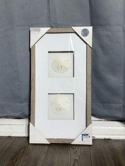 Coastal Sand Dollar Wall Art Frame – Beach Decor Double Mat Wood Frame – Nautical Home Accent