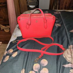 Brand new Tory