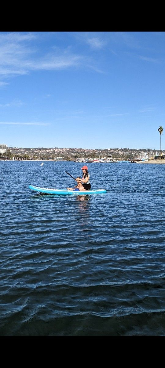 Stand-up Paddle Board (SUP)