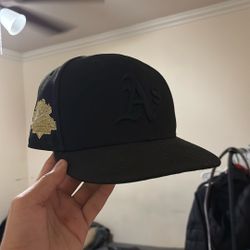 New Era Fitted