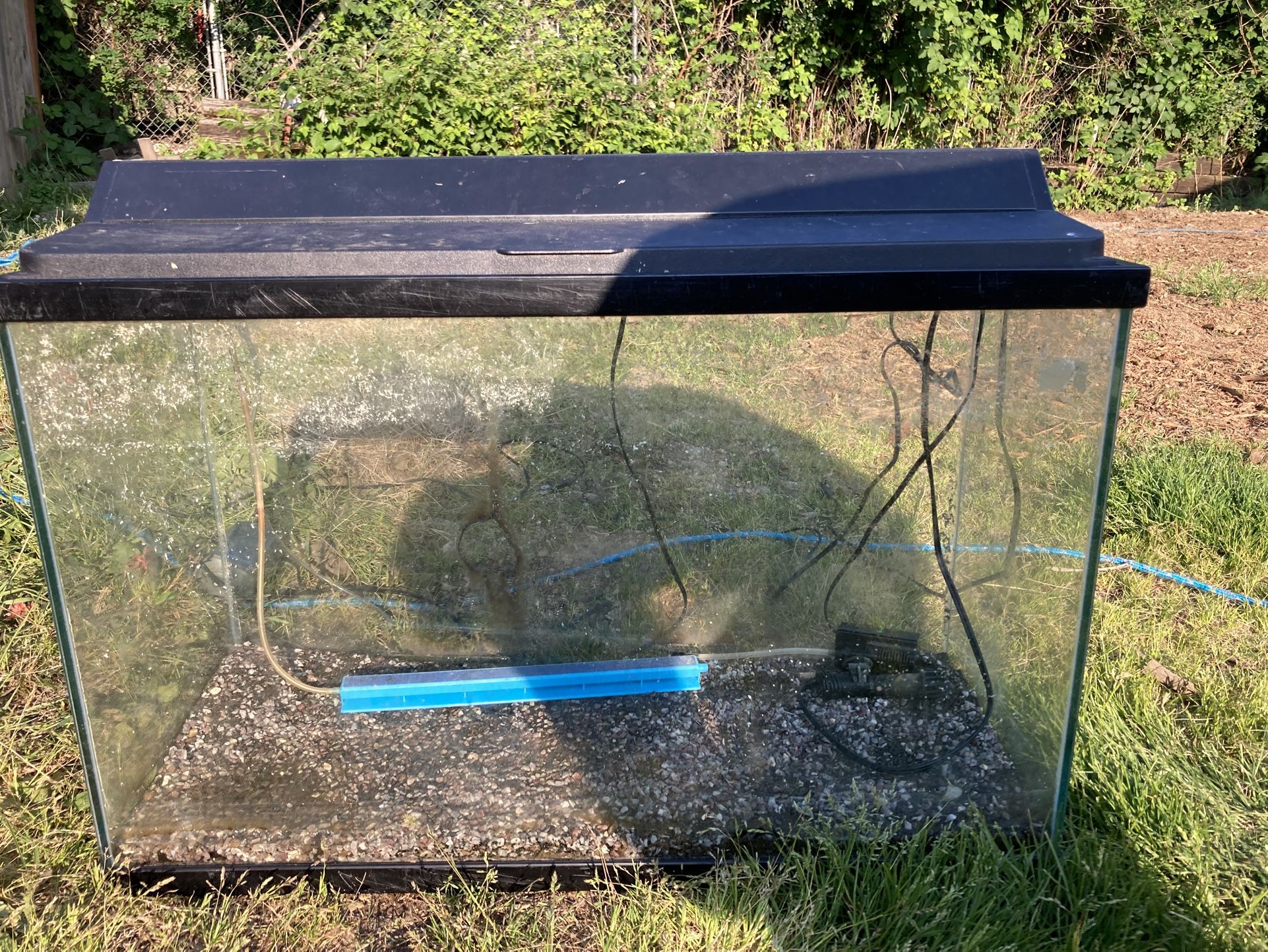 29 Gallon Fish Tank