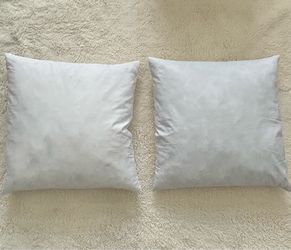 Set of two 20 x 20 feather down pillow inserts