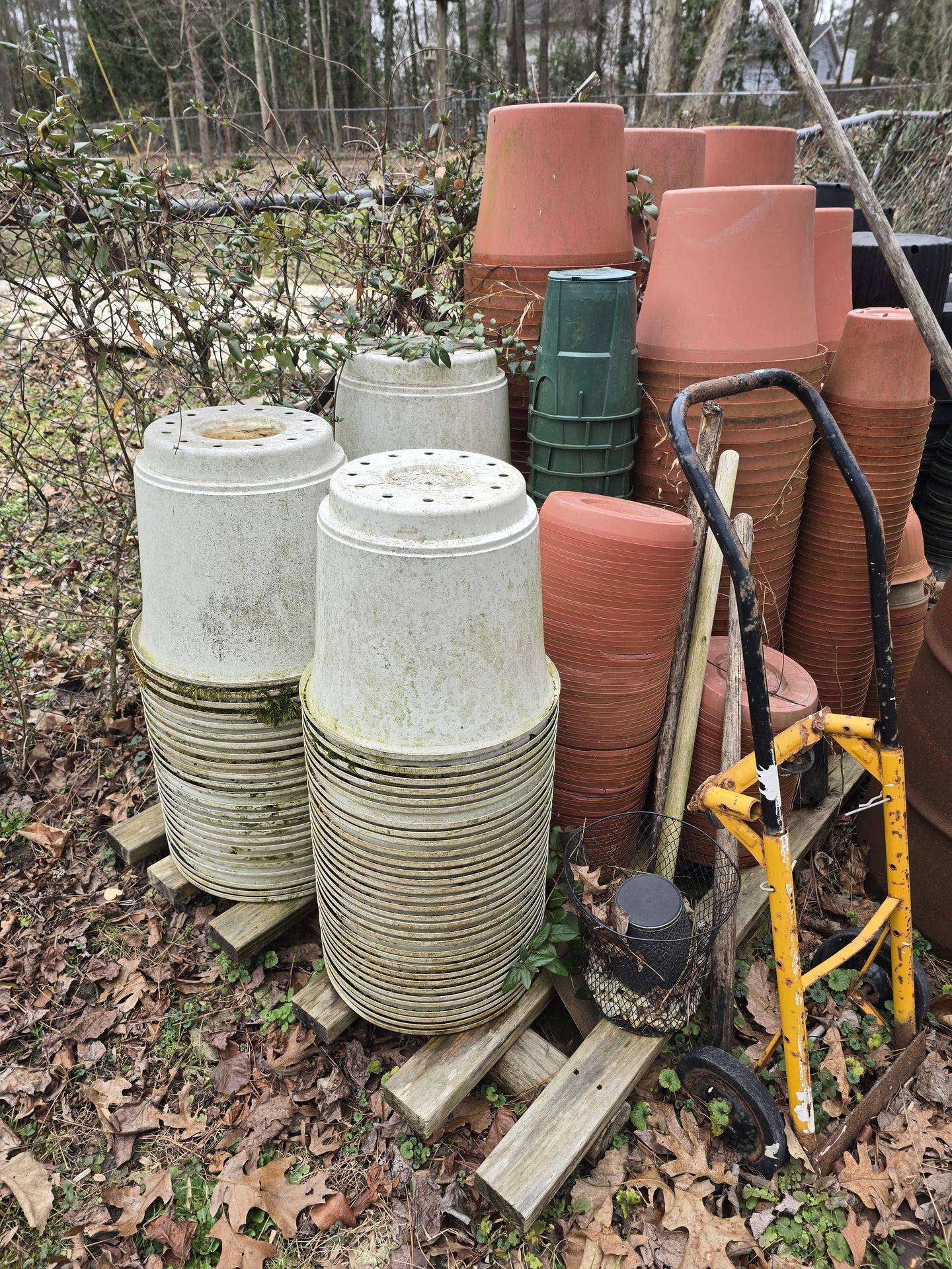 Assorted garden pots