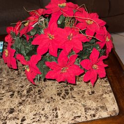 Christmas Arrangement