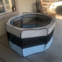dog tent 