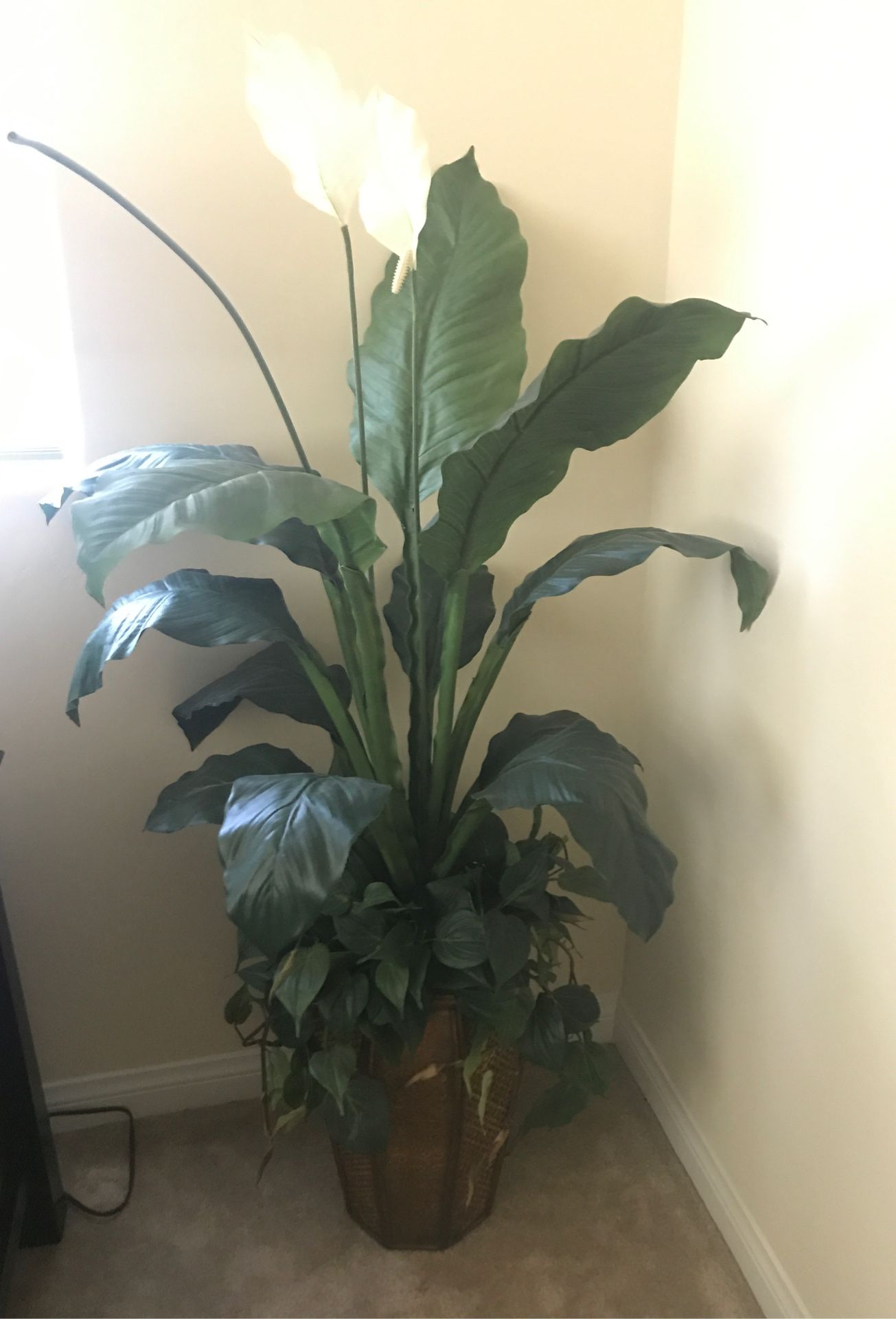 Plant Fake