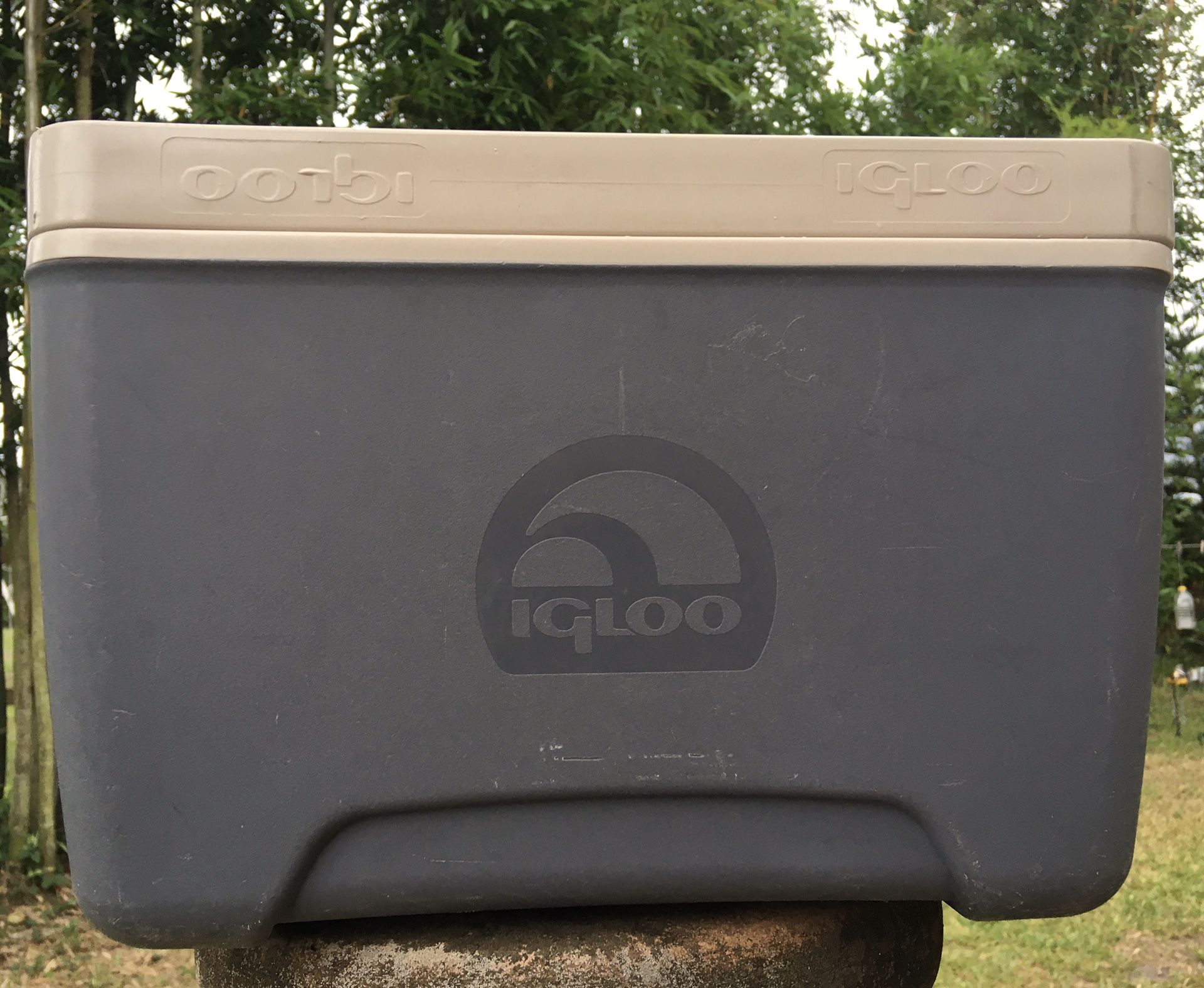 Igloo Personal Cooler