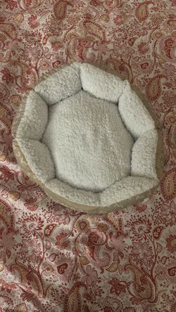 Cat Bed