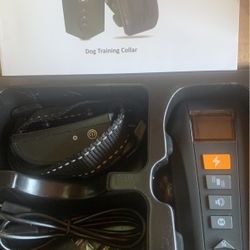 Dog Training Collar