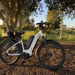 Biktrix Juggernaut HD Duo / 1000watt Motor / Large / E-Bike