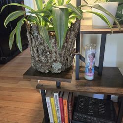 Bark covered Flower Pots