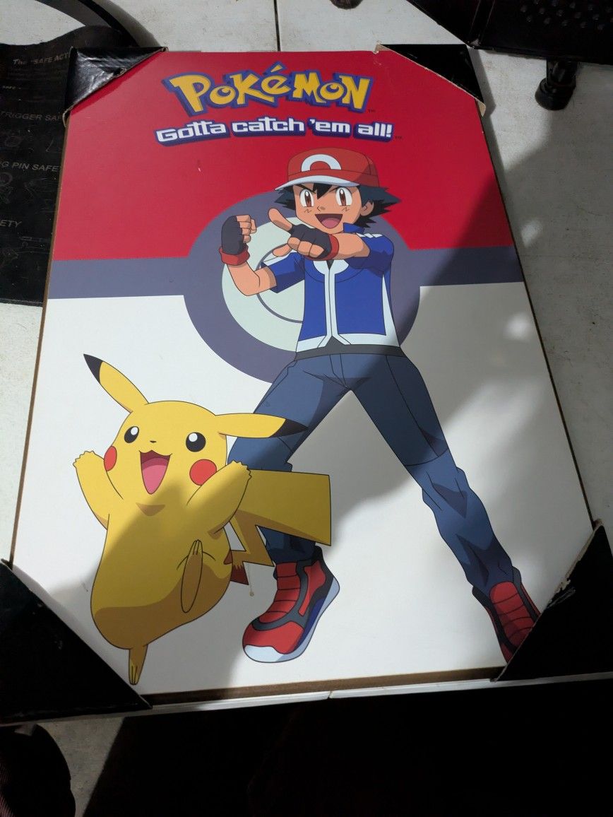 Hardcover Pokemon Door Cover, Like New