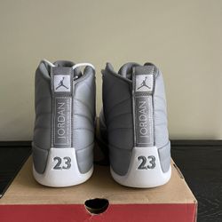Air Jordan 12 Size 12