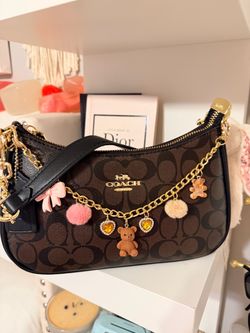Coach brown black Teri bag