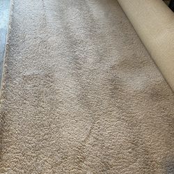 White carpet 9' x 12'