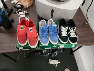 Puma