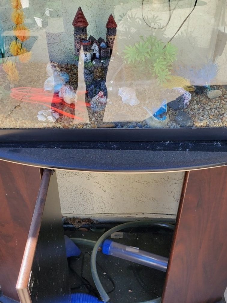 20 Gallon Fish Tank With Stand