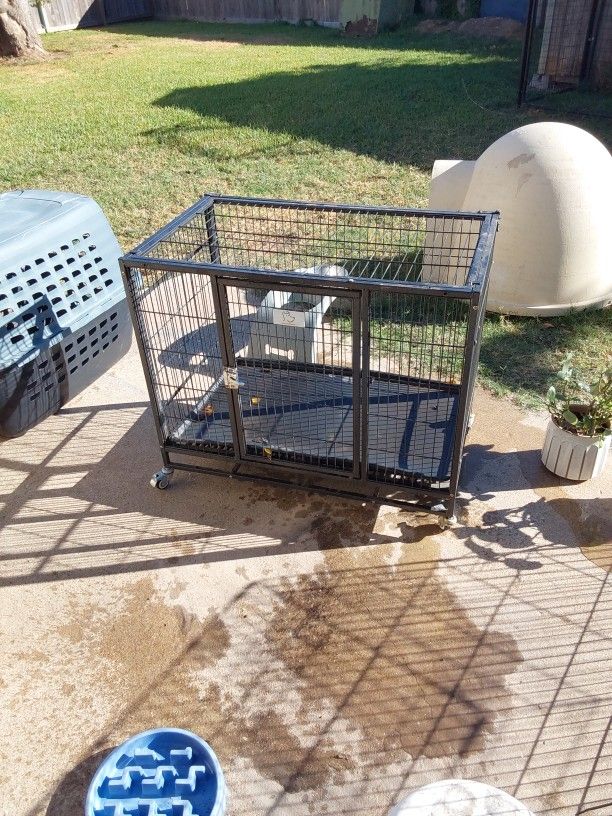 Dog Crate