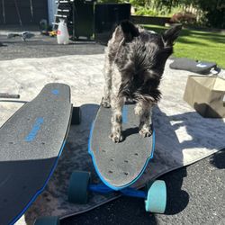 Electric Skateboards 