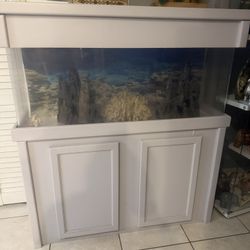 75 Gallon fish MUST GO!