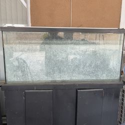 Fish Tank Salt Water 100 Gallon 