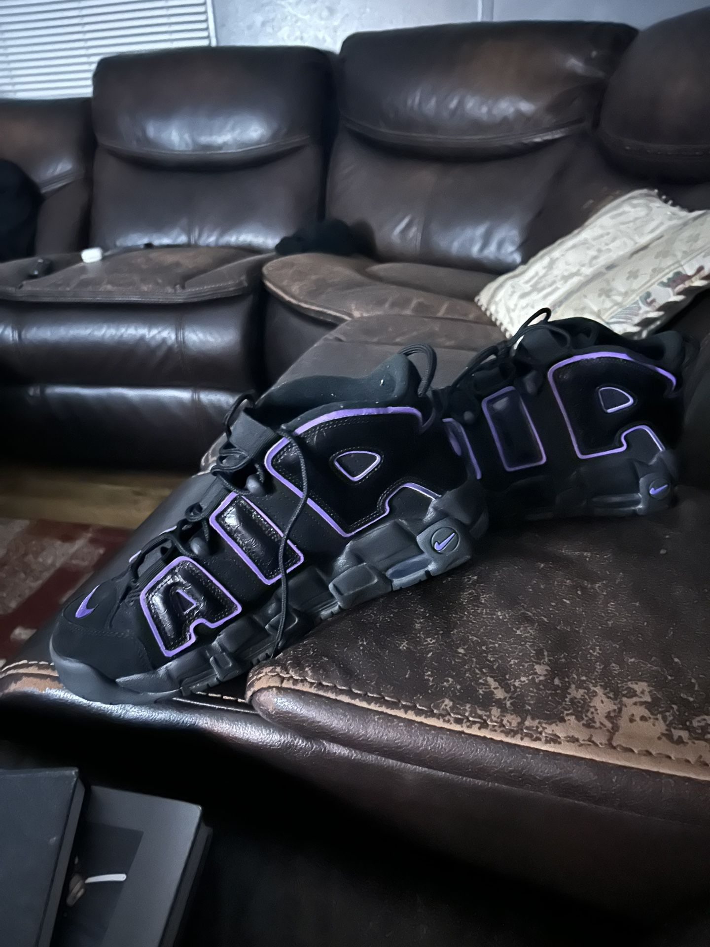 Scottie Pippens Black And Purple