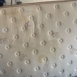 Free Queen Mattress 