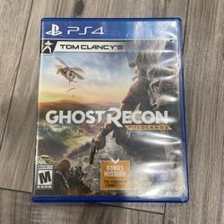 Ghost Recon PS4 Video Game