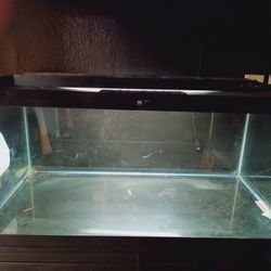 35 Gallon Tank