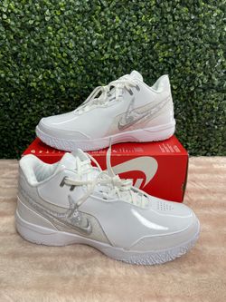 Mens Size 13 Nike Zoom Lebron NXXT GEN AMPD White Grey Basketball FJ1566 102 NEW