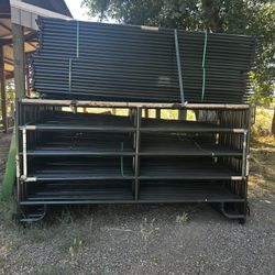 Cattle Fencing (50)