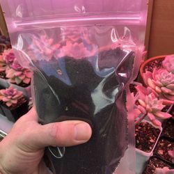 Succaholic’s Own Plant Based Organic Compost Fertilizer (1lb.) 