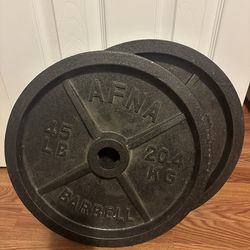 45 Lbs Weights (2)