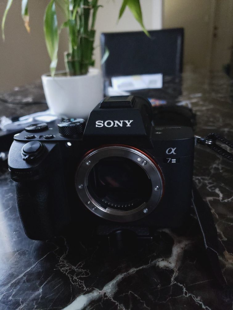 Sony a7iii with lenses