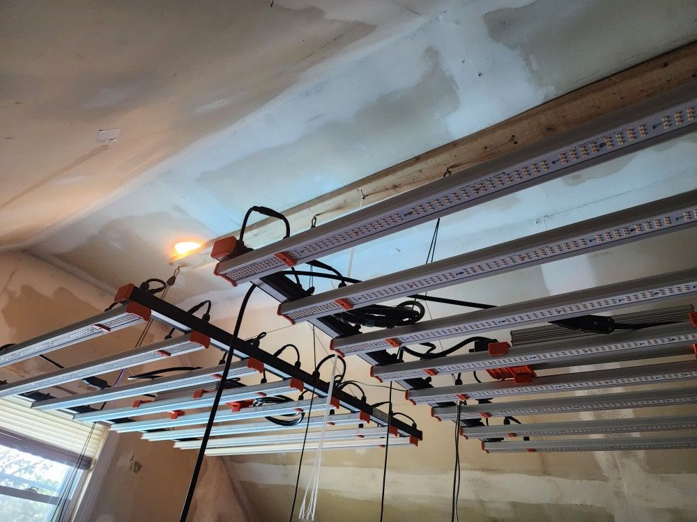 Spider Grow Lights