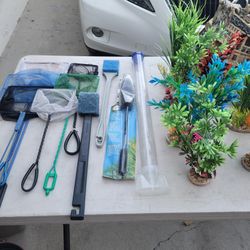 All Plants For Fish Tank