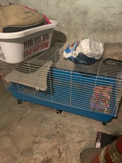 Rabbit cage