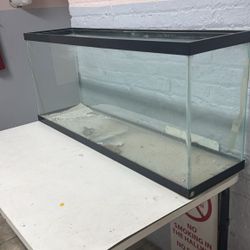 Fish Tank