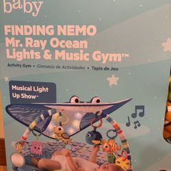 Mr Ray  Ocean Lights & Music Gym