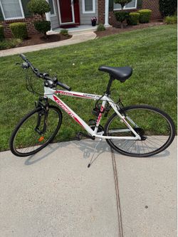 Hybrid bike