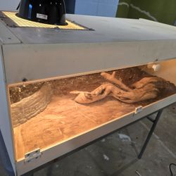 4' x 2' x 18" Reptile Terrarium
