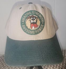  Vintage Looney Tunes Taz Tasmanian Devil baseball cap. 
