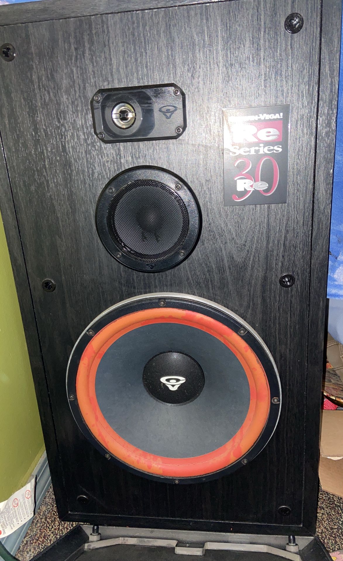 12 Inch Cerwin Vega Re Series