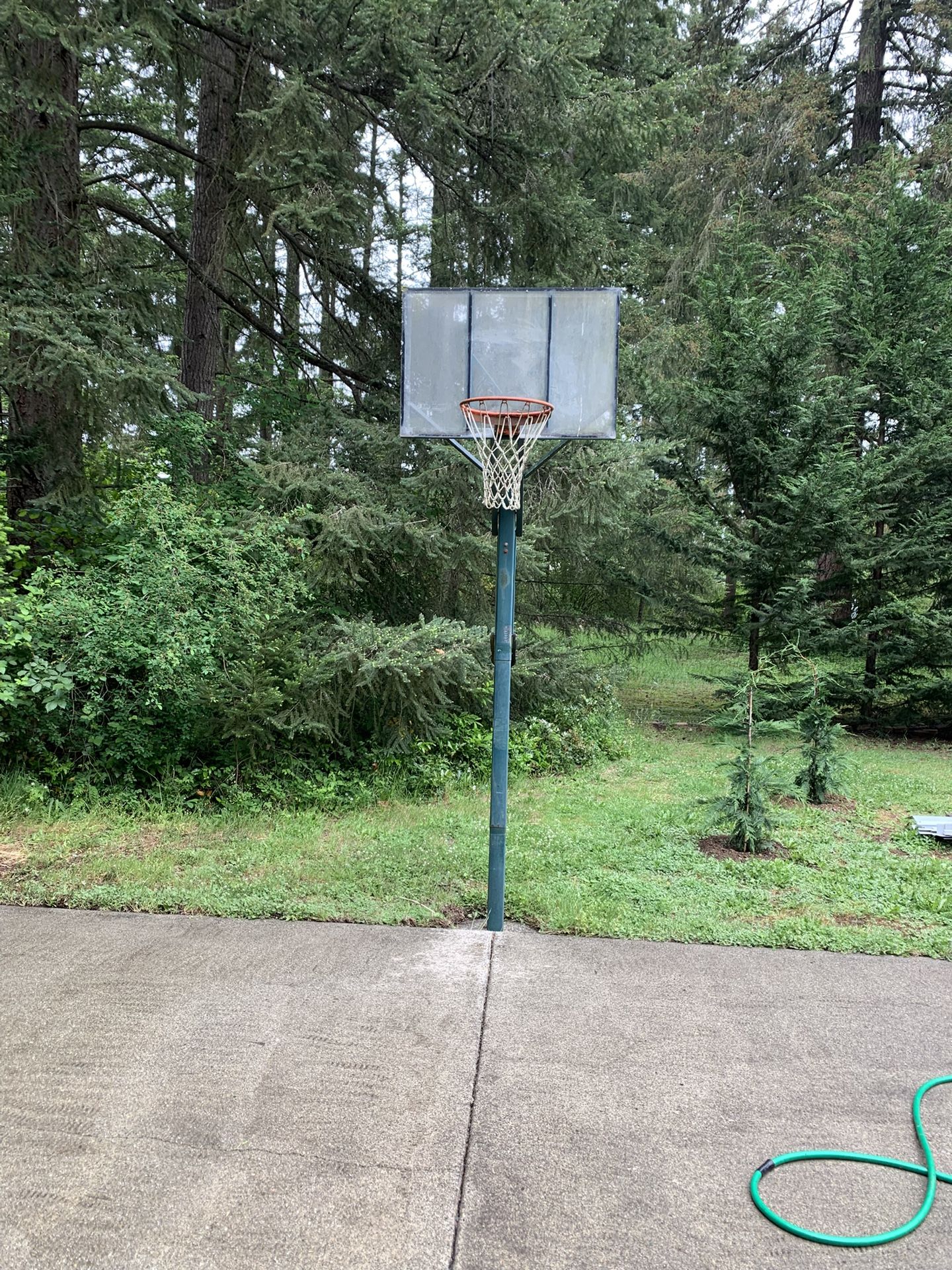 Basketball Hoop