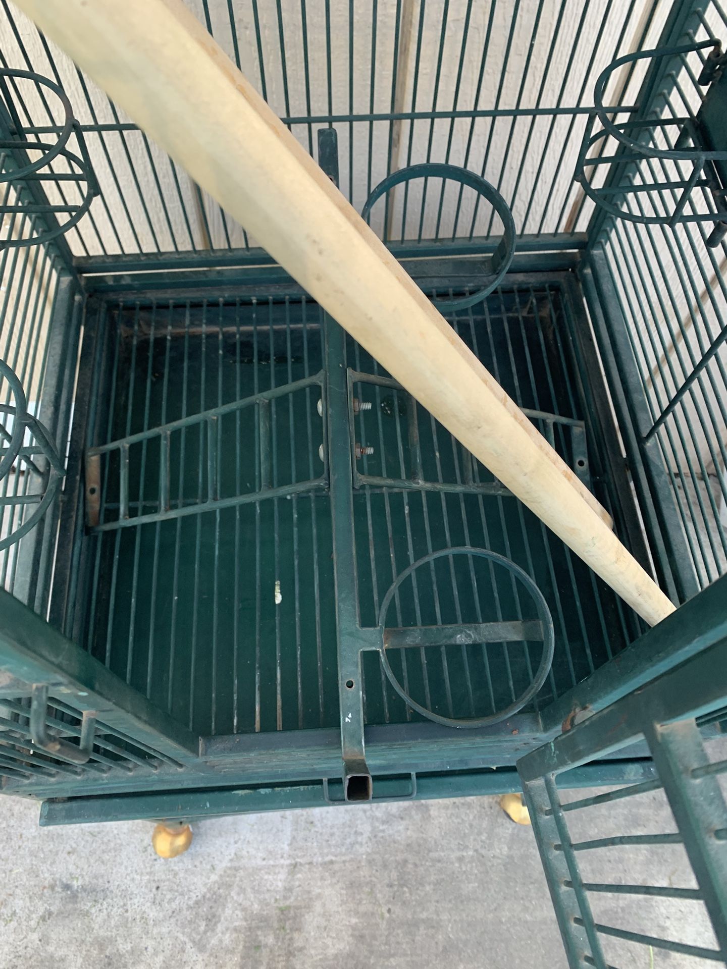Bird Cage