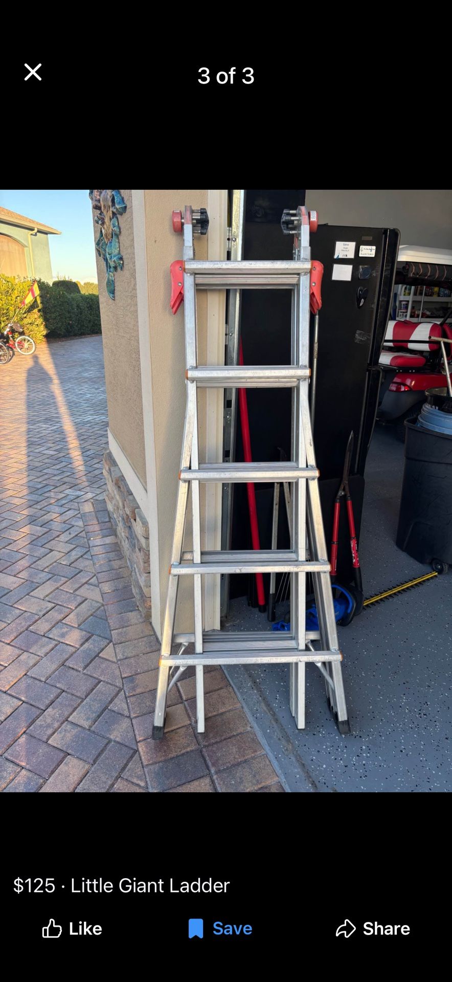 Little Giant Ladder