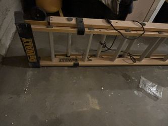Dewalt Latter 20’