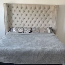 Velvet Tall Tufted Queen Bed